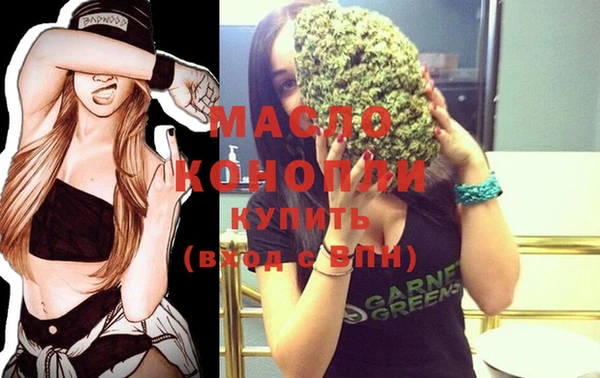 молекула духа Волоколамск