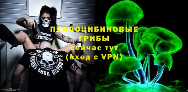 молекула духа Волоколамск